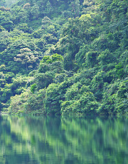 Image showing lake with tree