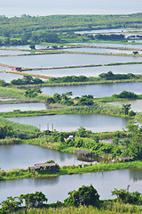 Image showing Fish Hatchery Pond