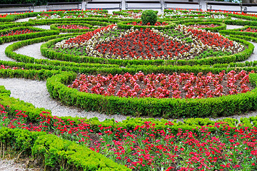 Image showing Park flowers