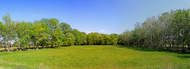 Image showing Meadow