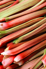 Image showing Rhubarbs