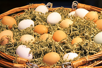 Image showing Eggs