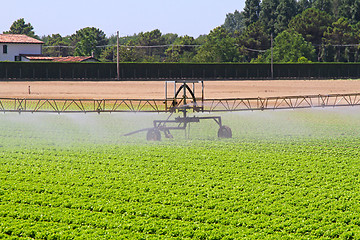 Image showing Irrigation sprinkler