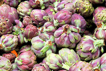 Image showing Artichokes