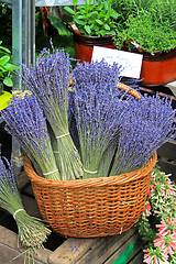 Image showing Lavander basket