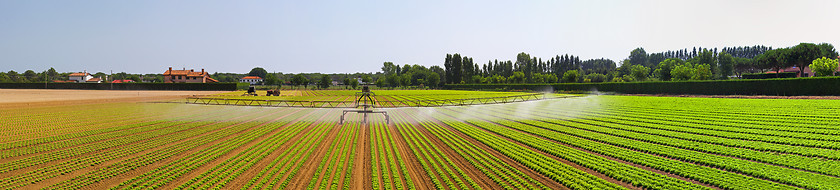 Image showing Irrigation field panorama