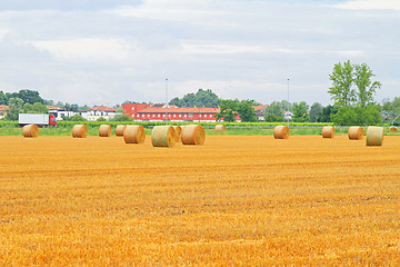 Image showing Rolling haystack field