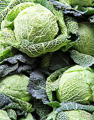 Image showing Savoy Cabbage