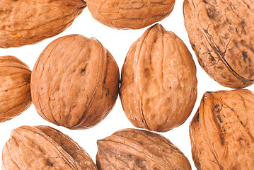 Image showing Walnuts in closeup 