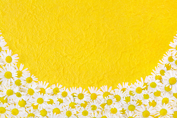 Image showing Group of Chamomile flower heads over handmade paper – frame