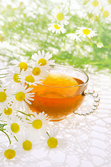 Image showing Cup of chamomile tea over white background