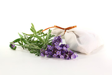 Image showing Lavender flowers with bag