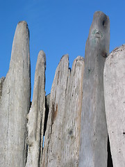 Image showing Driftwood and Blue Sky