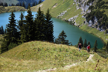 Image showing Hikers in the Alps