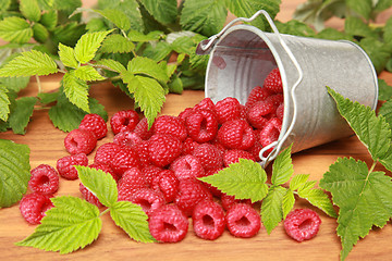 Image showing Raspberries