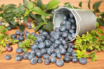 Image showing Blueberries