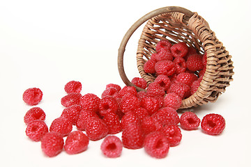 Image showing Raspberries