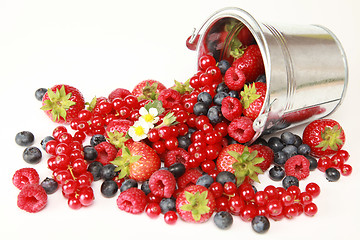 Image showing Berries