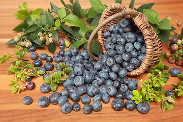 Image showing Blueberries