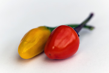 Image showing Two chilies