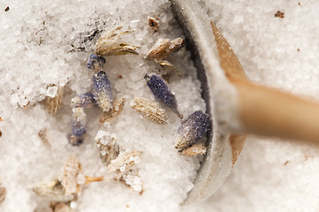 Image showing Lavender Sugar