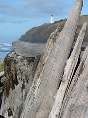 Image showing Driftwood and Lighthouse