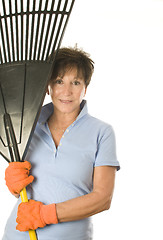 Image showing female middle age senior female woman gardener leaf rake