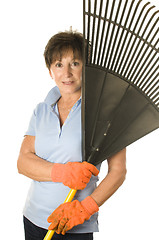 Image showing female middle age senior gardener leaf rake