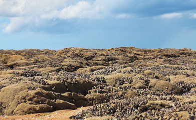 Image showing Landscape in Normandy