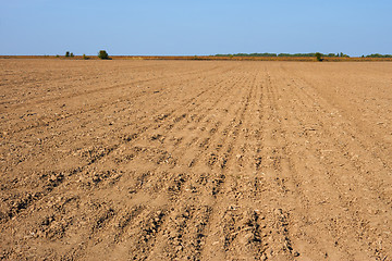 Image showing Furrows in the field