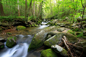 Image showing long stream in the smokey mountains