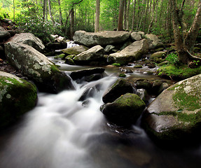 Image showing rocky stream in the smokey mountains