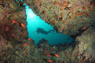 Image showing Diver from a cave