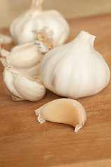 Image showing Garlic