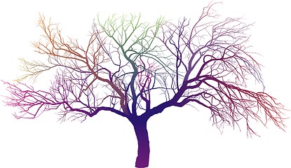 Image showing Magic AppleTree