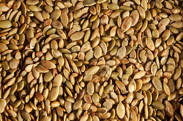 Image showing Pumpkin seeds