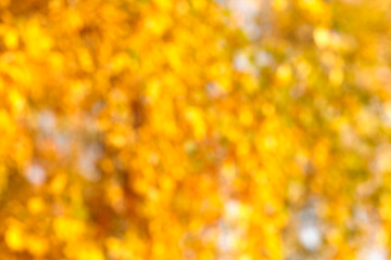 Image showing Autumn bokeh background