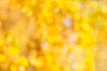 Image showing Autumn bokeh background