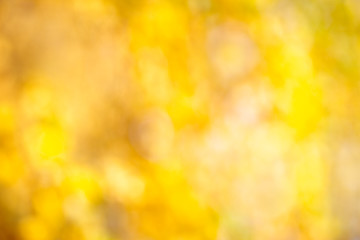 Image showing Autumn bokeh background