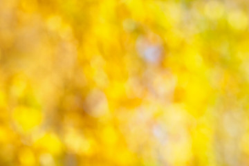 Image showing Autumn bokeh background