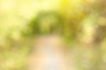 Image showing Autumn alley in out-of-focus bokeh