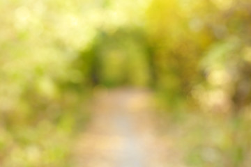 Image showing Autumn alley in out-of-focus bokeh