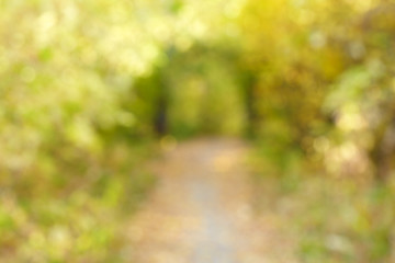 Image showing Autumn alley in out-of-focus bokeh