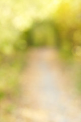 Image showing Autumn alley in out-of-focus bokeh