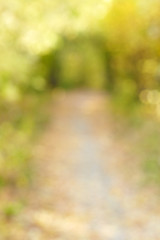 Image showing Autumn alley in out-of-focus bokeh