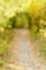 Image showing Autumn alley in out-of-focus bokeh