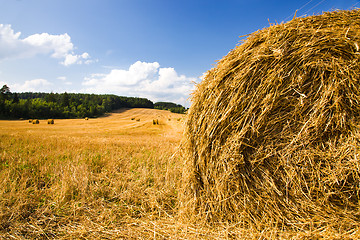 Image showing Straw stack