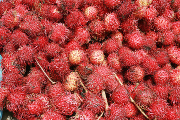 Image showing rambutan background, a tropical fruit 