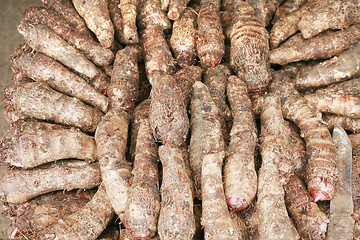 Image showing background of fresh taro root (colocasia) 