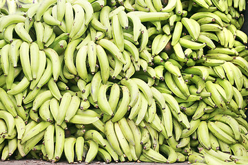 Image showing Green plantains (bananas) 